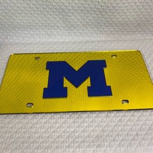 MICHIGAN WOLVERINES COLLEGE